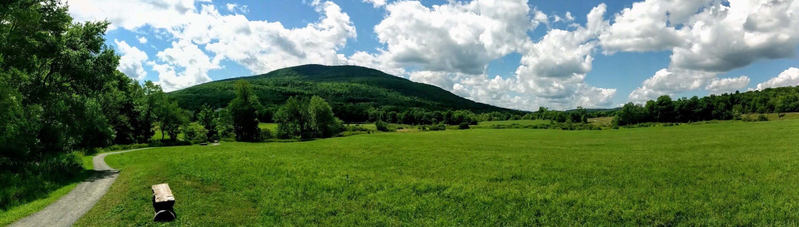 The Windham Path